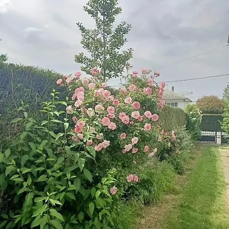 Apartment Du Val D'arizes Bagneres-de-Bigorre